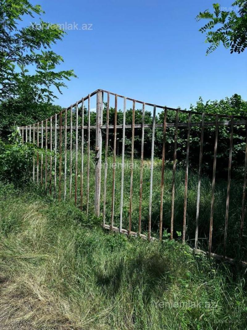 Satılır əmlak 24 sot, Oğuz - foto 2