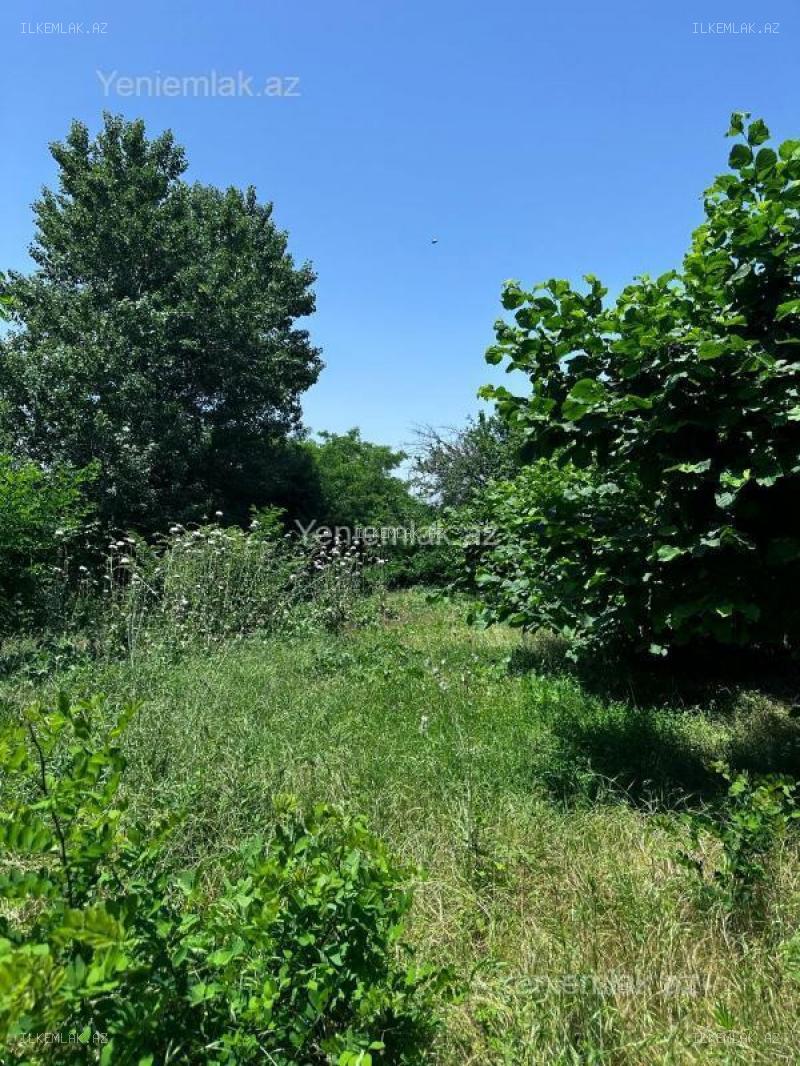 Satılır əmlak 24 sot, Oğuz - foto 3