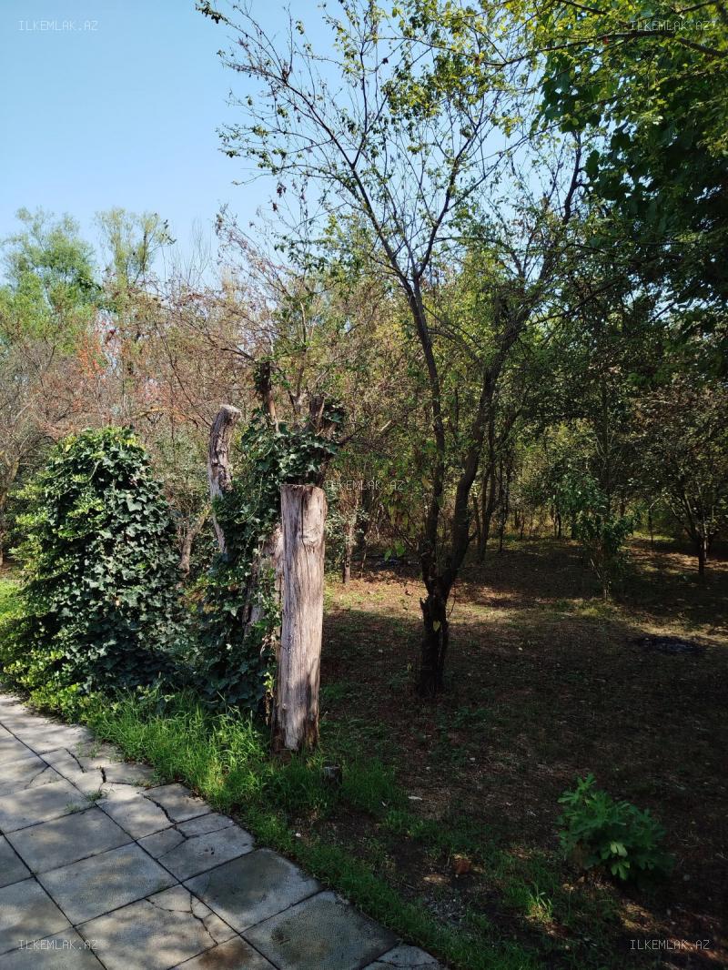 İcarə əmlak 3 otaqlı 120 m², Lənkəran - foto 19