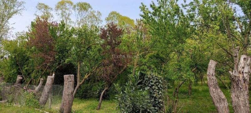 İcarə əmlak 3 otaqlı 120 m², Lənkəran - foto 20