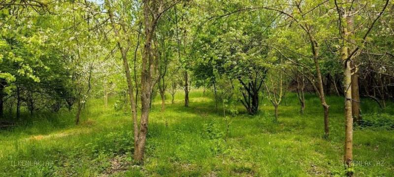 İcarə əmlak 3 otaqlı 120 m², Lənkəran - foto 21
