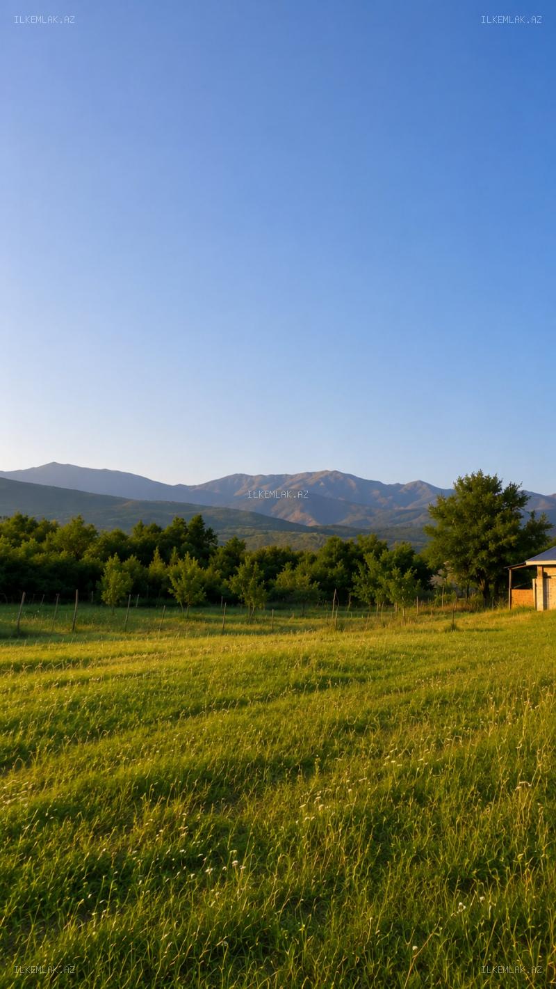Satılır əmlak 50 sot, İsmayıllı
