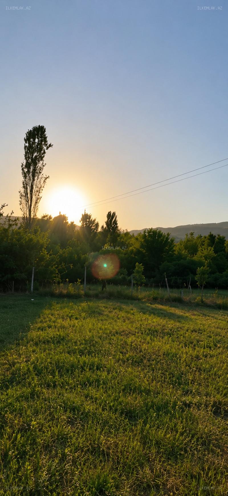 Satılır əmlak 50 sot, İsmayıllı - foto 2