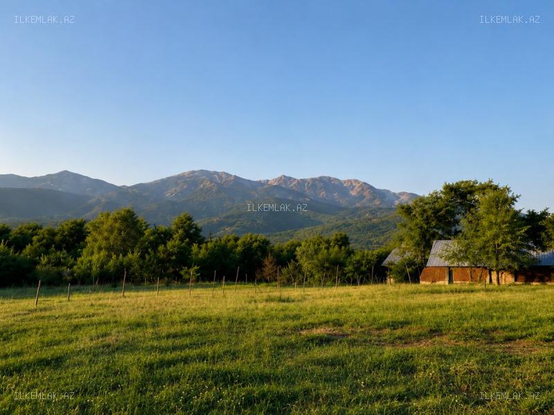Satılır əmlak 50 sot, İsmayıllı - foto 5