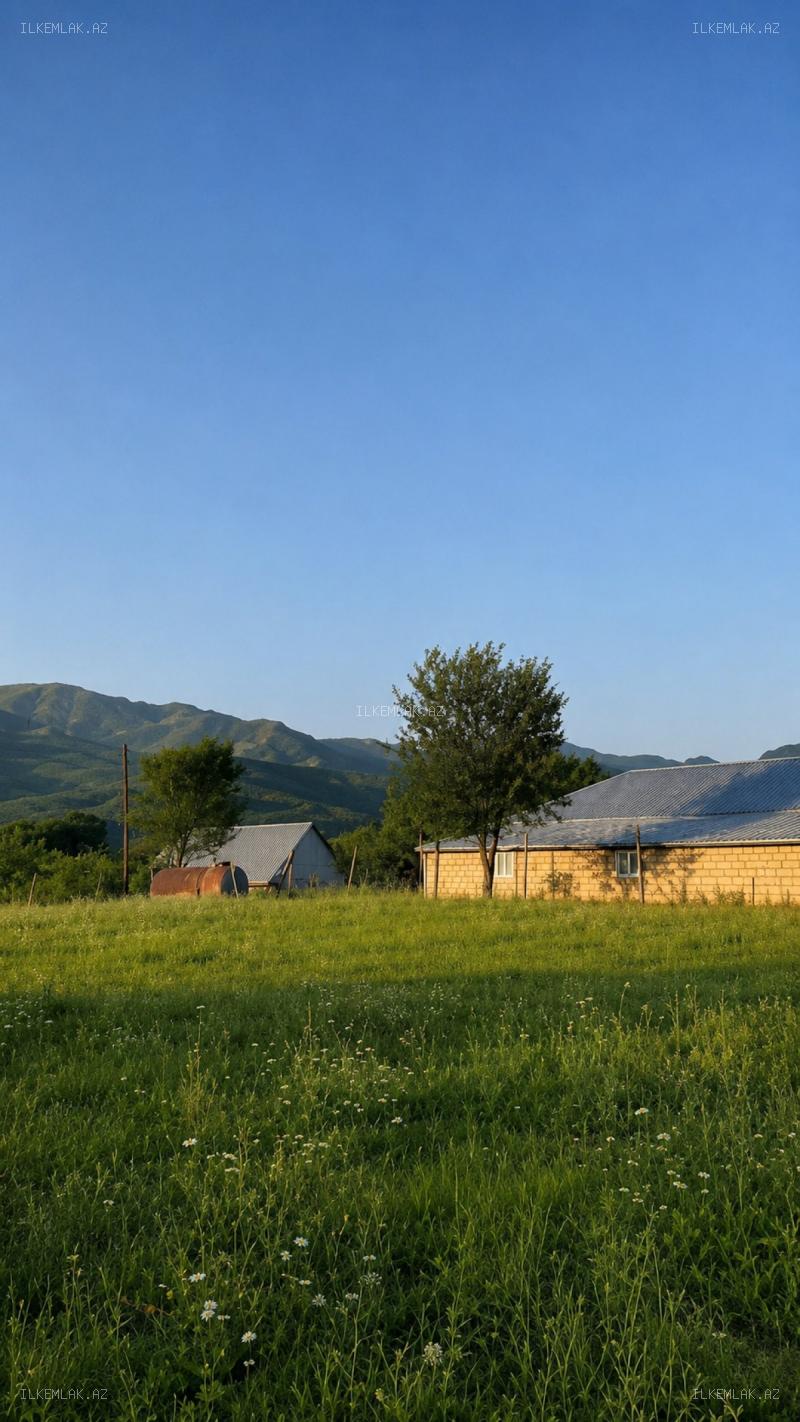 Satılır əmlak 50 sot, İsmayıllı - foto 8