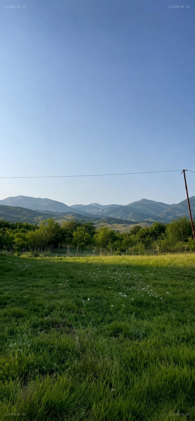 Satılır əmlak 50 sot, İsmayıllı - foto 7