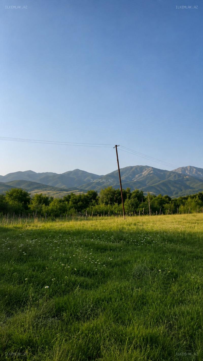 Satılır əmlak 50 sot, İsmayıllı - foto 9